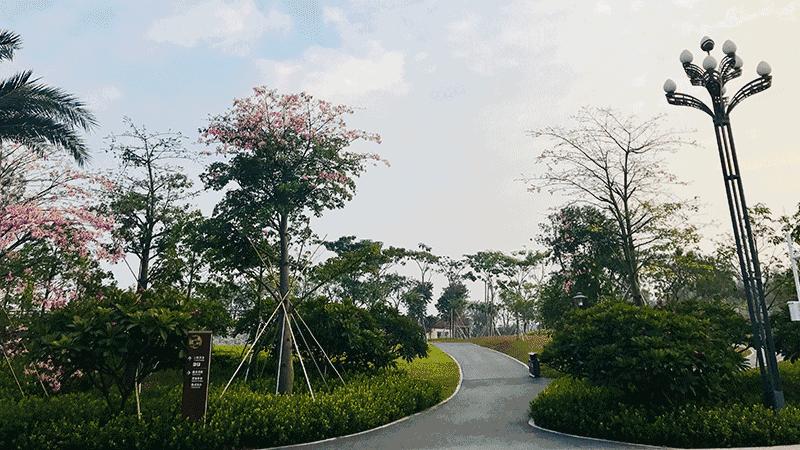 角度|宝安这些地方,能让你一秒爱上跑步!