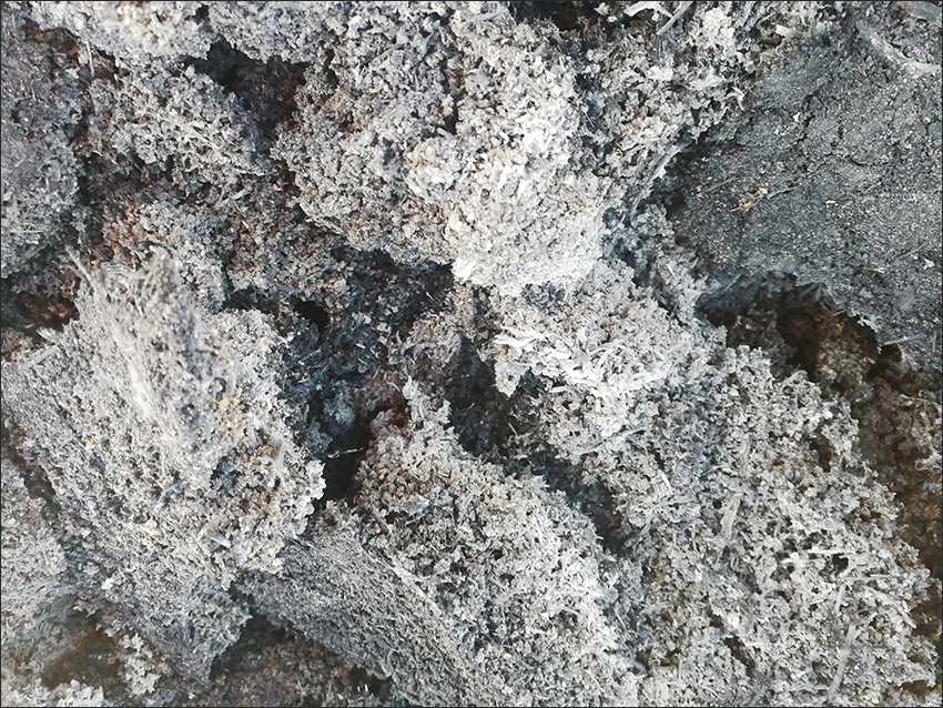 蓬灰是这样烧制出来的,烧制蓬灰水农村怎样熬制