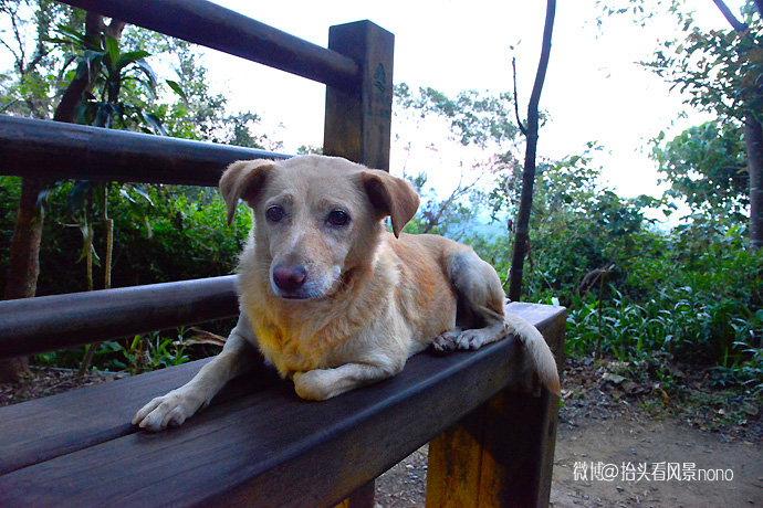 在台北101大楼看台北全景,在台北101大楼顶层看视频