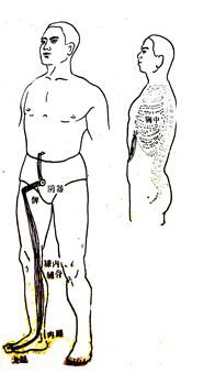 易筋经李伟版,易筋经李伟完整版视频