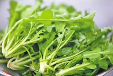 农村常吃的七种野菜,农村常见的60种野菜及功效