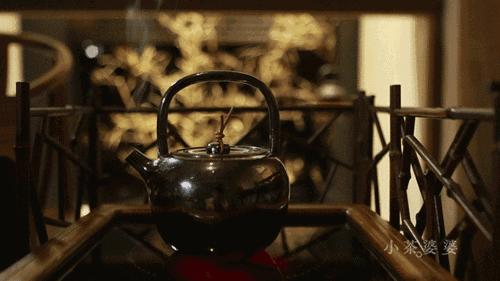 什么茶叶适合蒸汽壶煮着喝,茶叶煮着喝好还是泡着喝好