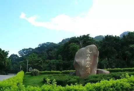 厦沙复线三明段,最新厦沙高速全线通车