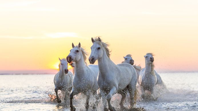 2020低估值二线蓝筹,房企低估值龙头