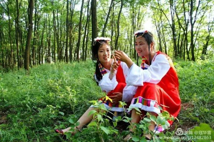 中国天然氧吧为什么是永寿,永寿槐林氧吧