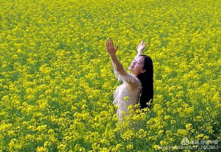 中国天然氧吧为什么是永寿,永寿槐林氧吧