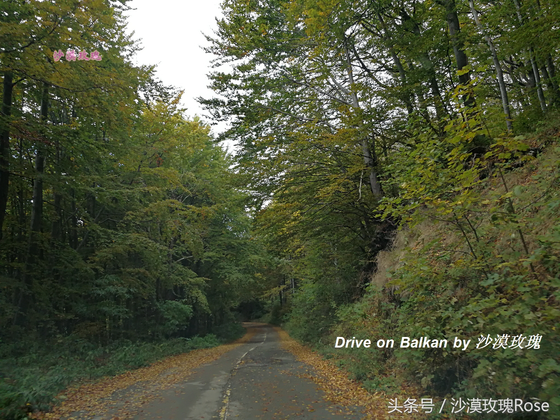 塞尔维亚和波黑对华免签！自驾巴尔干有哪些要注意的？