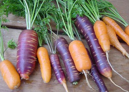 每日一个冷知识,每日一冷的十大知识