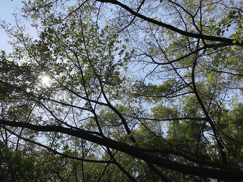 角度|宝安这些地方,能让你一秒爱上跑步!