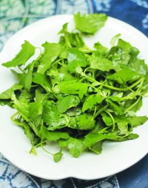 农村常吃的七种野菜,农村常见的60种野菜及功效