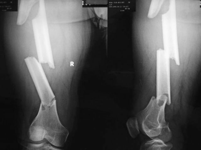 全都太有才了！NGA论坛水友集体COSPLAY魔兽世界技能图标