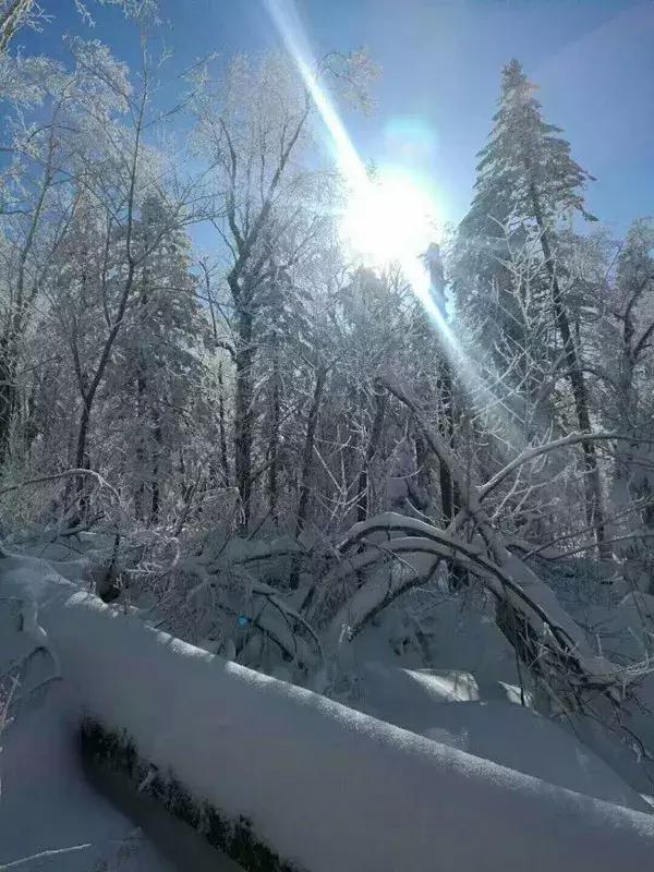 最纯净的雪乡,最美小镇雪乡