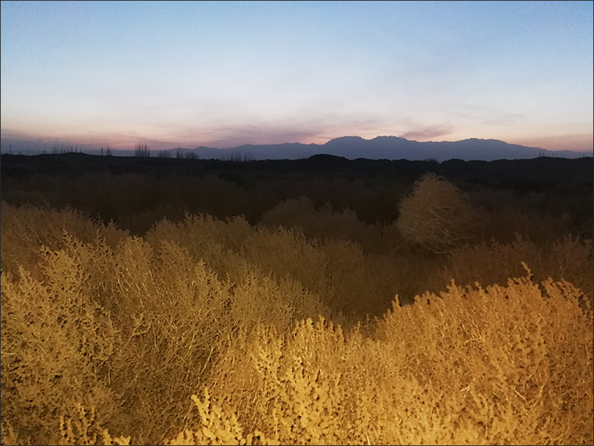 蓬灰是这样烧制出来的,烧制蓬灰水农村怎样熬制