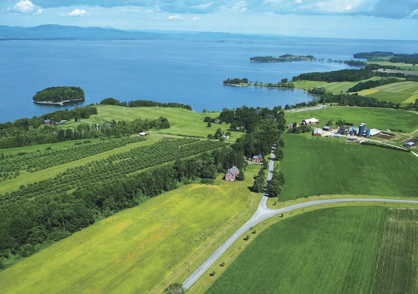 岛国国家耕地很少,却在农业上名列前茅,看日本农业的10大亮点!