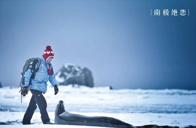 7月好片,6月好片