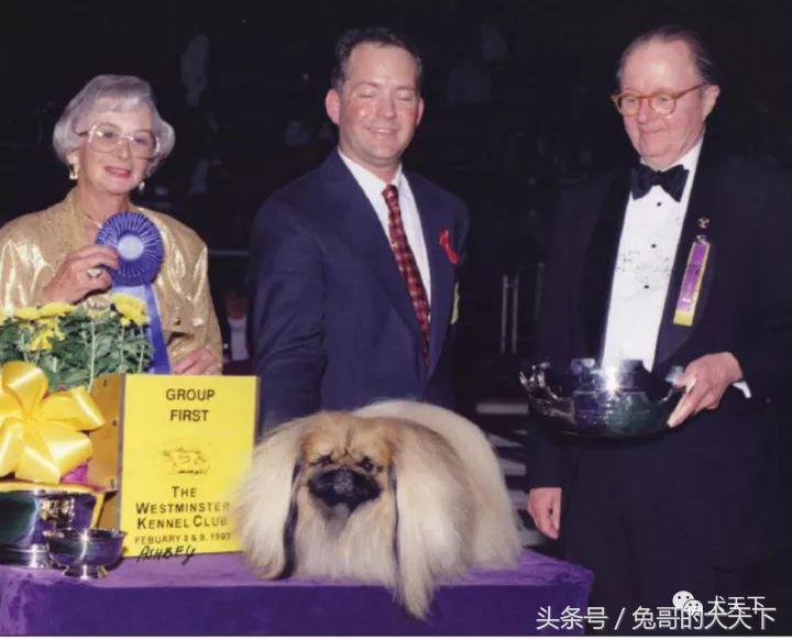 一个外国人把一生献给了中国,把一生献给中国的外国人