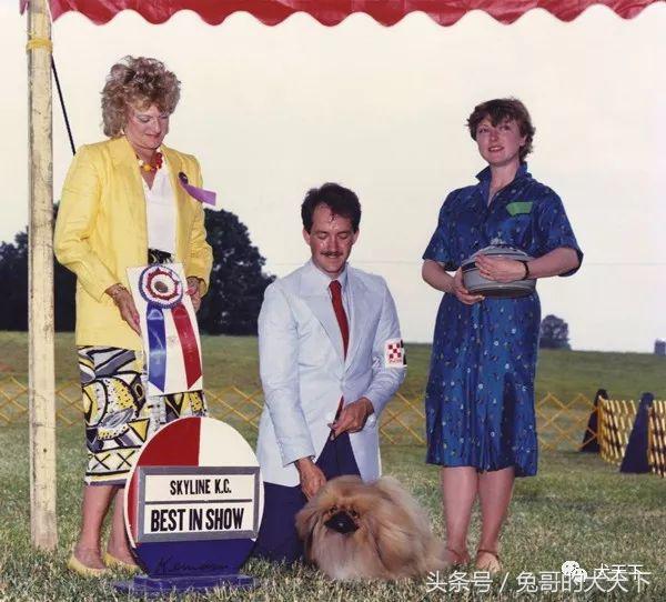 一个外国人把一生献给了中国,把一生献给中国的外国人