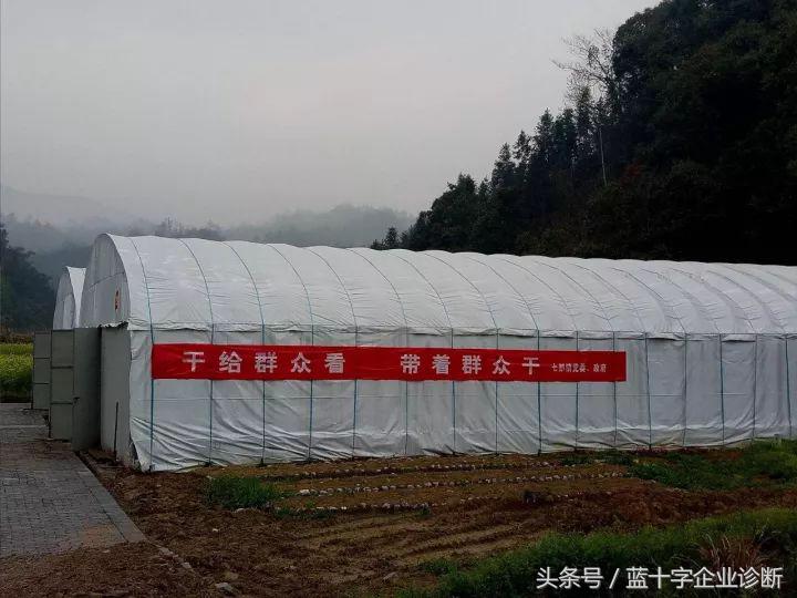 江苏省苏州市七都镇,江苏苏州七都