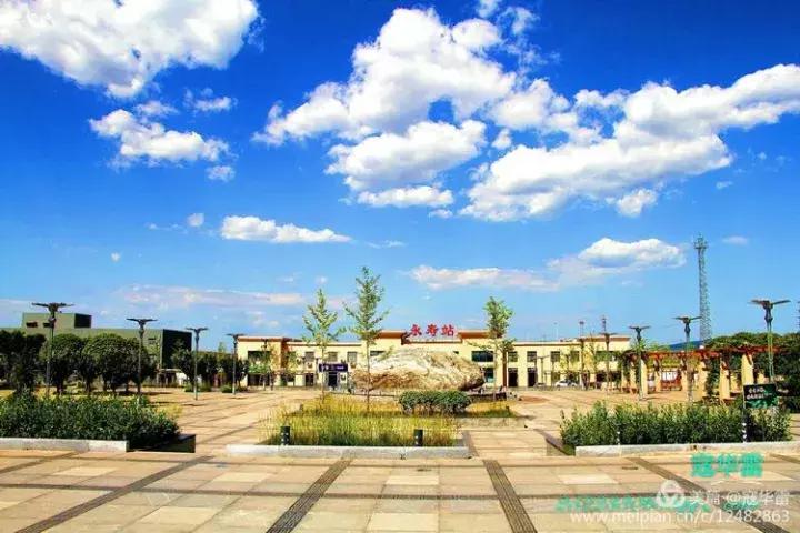 中国天然氧吧为什么是永寿,永寿槐林氧吧