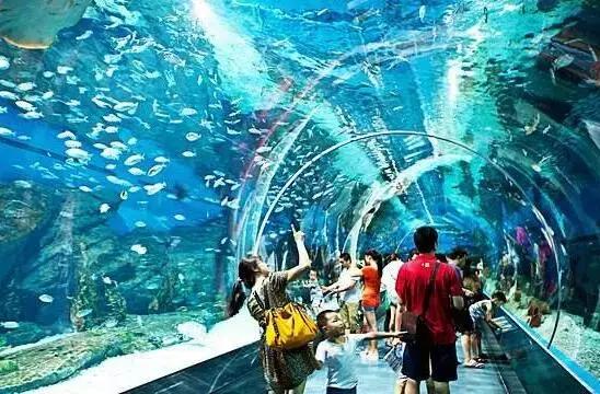 12月武汉一大波好消息集中爆发！条条都和你息息相关！