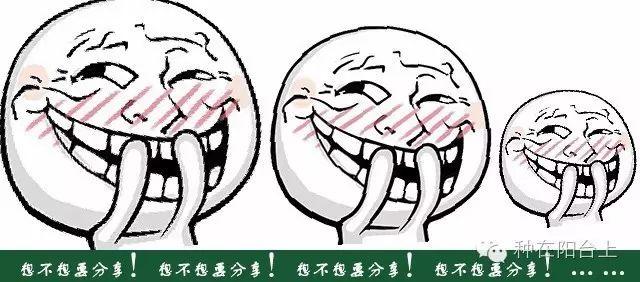 如何用各种水果的种子种植水果苗,水果种植技术水果苗