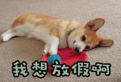 苏州学校寒假放假时间2019,苏州大中小学寒假时间表