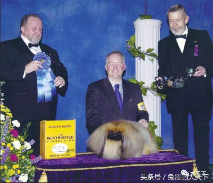 一个外国人把一生献给了中国,把一生献给中国的外国人