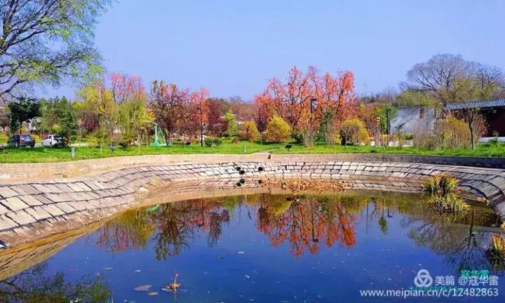 中国天然氧吧为什么是永寿,永寿槐林氧吧