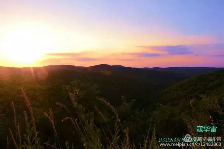 中国天然氧吧为什么是永寿,永寿槐林氧吧