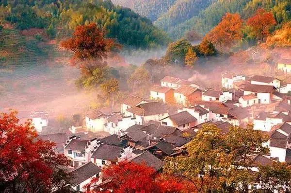 12月武汉一大波好消息集中爆发！条条都和你息息相关！