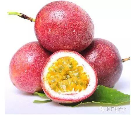 如何用各种水果的种子种植水果苗,水果种植技术水果苗