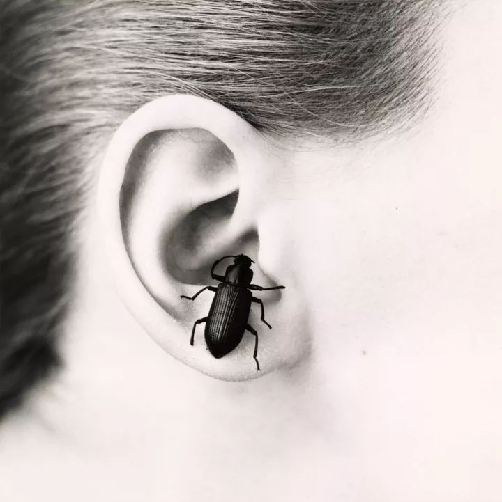 世界摄影大师经典作品欣赏,摄影100张世界摄影大师的黑白作品