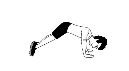 女士健身练腹肌马甲线人鱼线,马甲线和人鱼线哪个是女人的