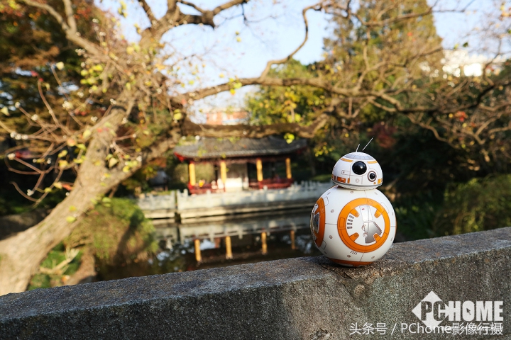 值得入手的数码相机平价佳能,佳能相机测评今年