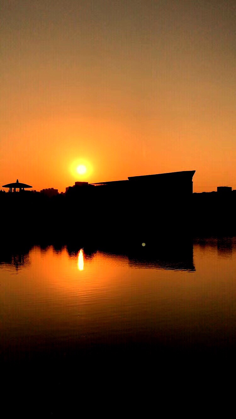 这是，浙师！双龙学者王辉教授眼中的师大，美不胜收！