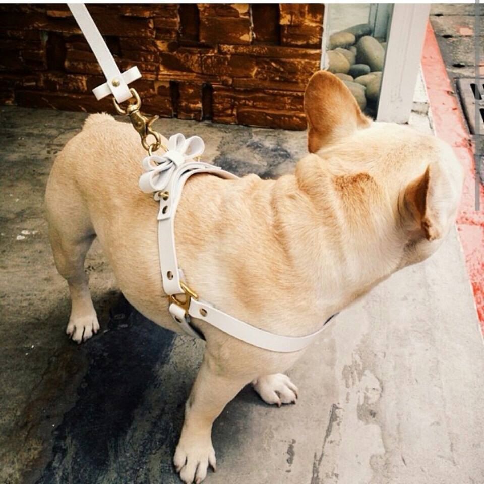 小众包包设计师,日本的包包设计