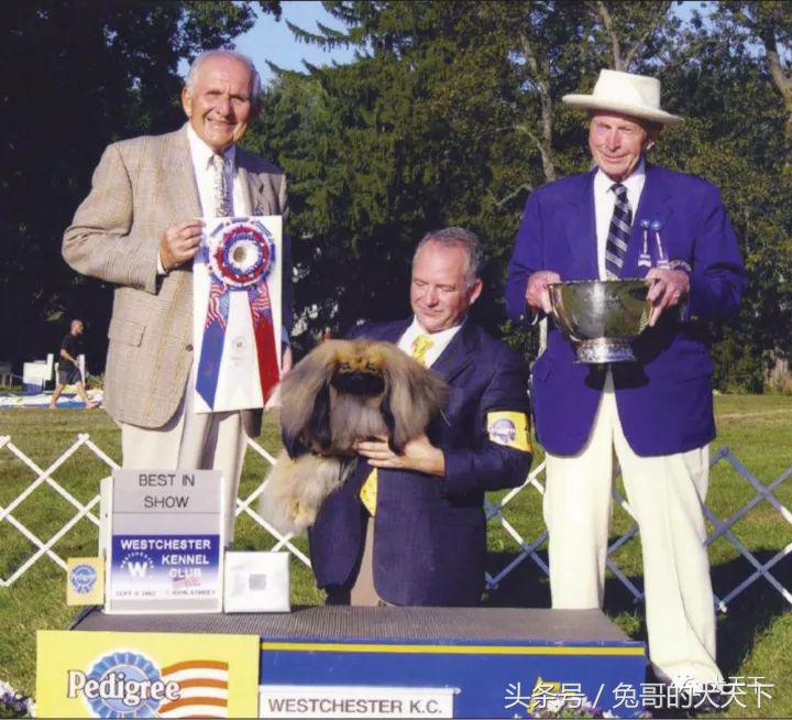 一个外国人把一生献给了中国,把一生献给中国的外国人