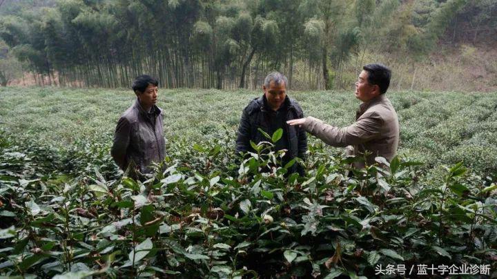 江苏省苏州市七都镇,江苏苏州七都