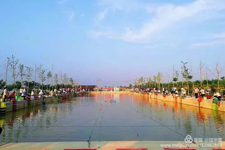 中国天然氧吧为什么是永寿,永寿槐林氧吧