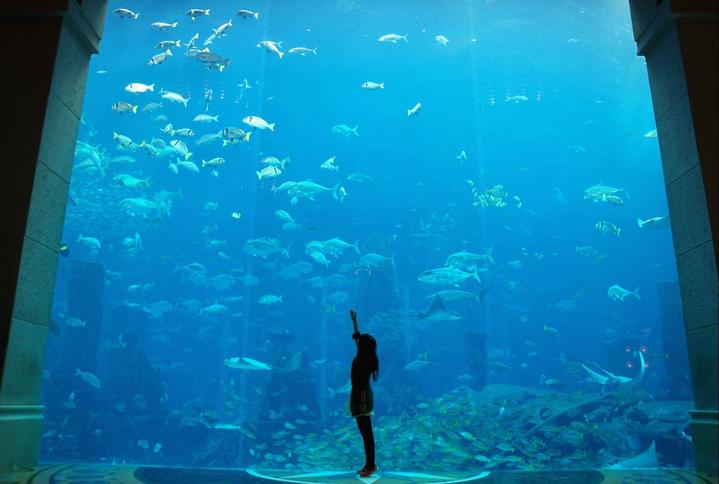 如何去迪拜最省钱,迪拜出行怎么省钱