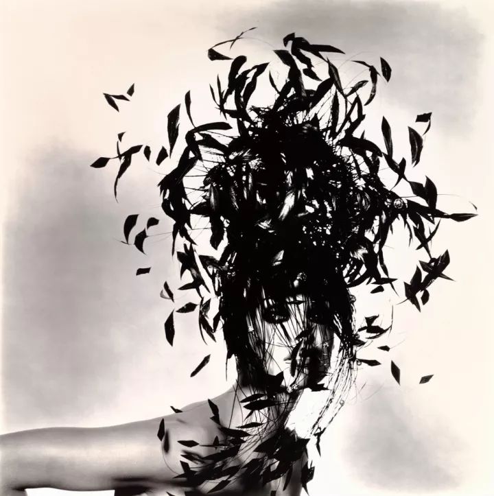 世界摄影大师经典作品欣赏,摄影100张世界摄影大师的黑白作品