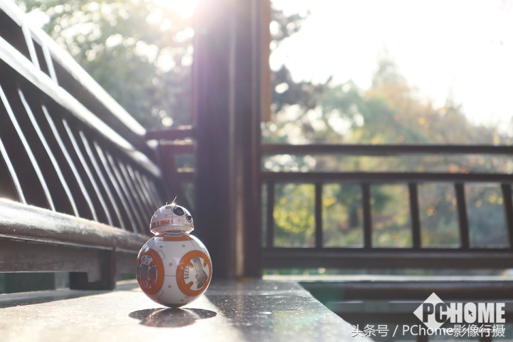 值得入手的数码相机平价佳能,佳能相机测评今年