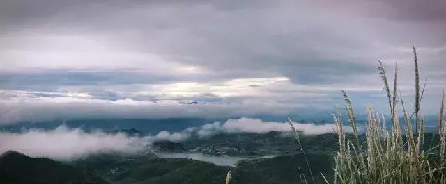 千年古县，龙源临武｜“美丽中国”系列微电影摄制组临武创作采风