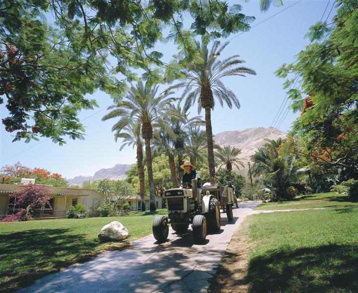 中东地区三大宗教圣地,世界三大宗教信仰地