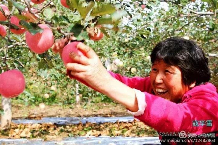 中国天然氧吧为什么是永寿,永寿槐林氧吧