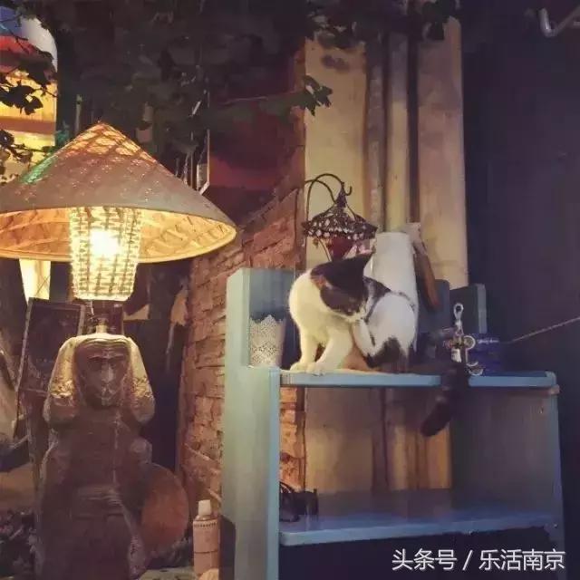 南京文艺小情调的地方,南京比较有小资情调地方