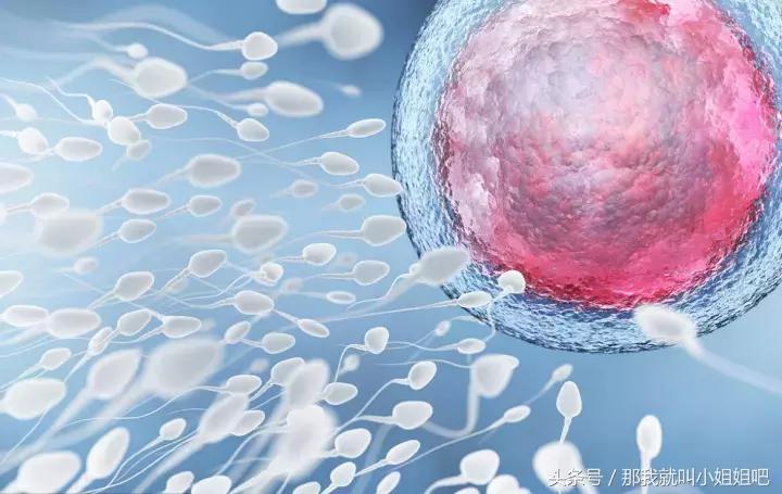 如何成功怀孕？医生告诉你成功怀孕的3个前提条件