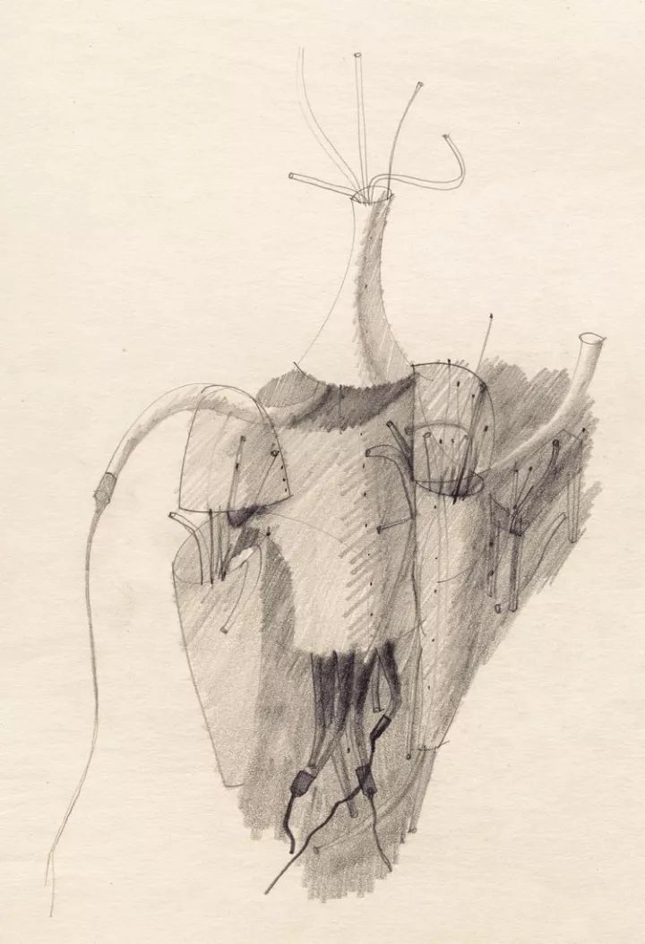 世界摄影大师经典作品欣赏,摄影100张世界摄影大师的黑白作品