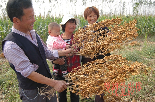 还没有过头条号新手期的朋友看过来,25天转正菜鸟我只做了5件事