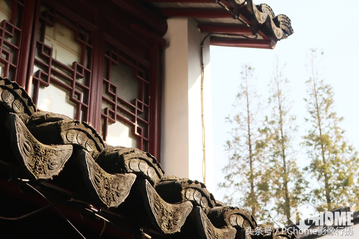 值得入手的数码相机平价佳能,佳能相机测评今年